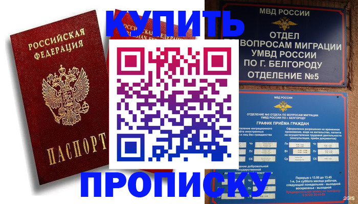 прописка иностранных граждан в Зарайске